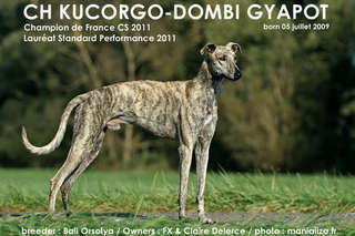 KUCORGO-DOMBI GYAPOT